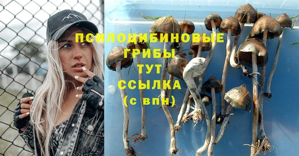 СК Алексеевка