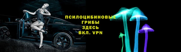 ECSTASY Абаза